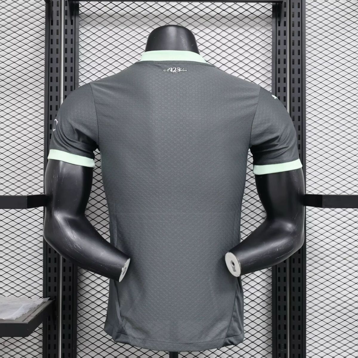 Milan Terza 24/25 - Versione Giocatore